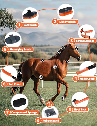 Shinewell Horse Grooming Kit, Complete Horse Brush Set, Equine Grooming Tools for Shedding & Daily Care Orange - Image 2