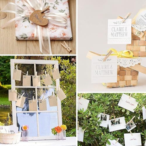 Image of ARTISTERY 1 Inch 20 PCS Mini Clothespins, Mini Clothes Pins for Photo Natural Wooden Small Picture Clips for Crafts Tiny Pegs /Wood Clips for Wall Hanging Pictures