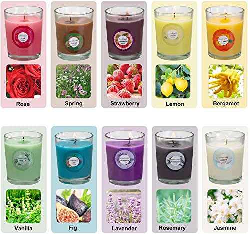 Dalang Scented Candles, Anxiety Reducer Jasmine, Rose, Vanilla, Bergamot, Fig, Lavender, Lemon, Spring,Strawberry, Rosemary, Aromatherapy Organic Massage Candles - 20 Pack #TOP1