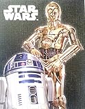Star Wars C3P0 and R2D2 Canvas Print (15