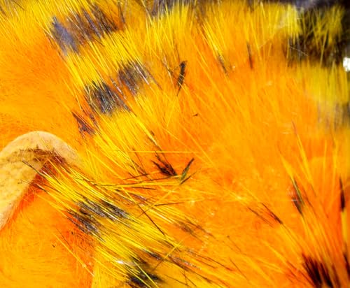 Hareline Fly Tying Tiger Barred Rabbit Strips