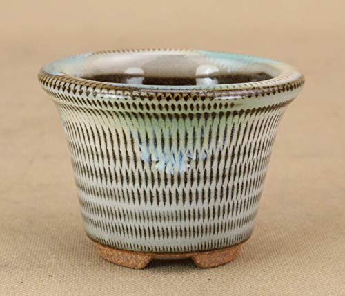 y~͔z Ό/ۏ yJizy~j?z