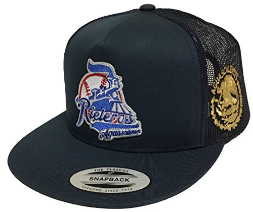 Rieleros de Aguascalientes Logo Federal a lado 2 Logos hat Navy mesh