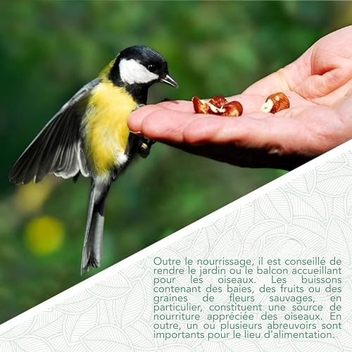 I Bain d' Oiseaux avec Support de Balcon I Abreuvoir Bassin Oiseaux Sauvages Exterieur à Suspendre – Image 6