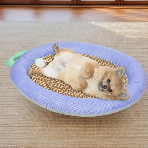 Tapis rafraîchissant chien lavable pour petit chat d'été