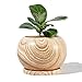POTEY Planter Ceramic Plant Flower Pot - 5" Large Indoor Glazed Container Bonsai with Drainage Hole Saucer - Large Space, Wooden Pattern