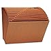 Universal 13910 Expanding File, Open Top, 12 x 10, A-Z, Letter, Redrope