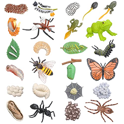 25 Pieces Life Cycle Figures of Frog Butterfly Mosquito Spider Ant Bee Figurines Toy Kit Simulation Animal Growth Cycle Models for Boys Girls Educational School Project Toys Party Favor, 6 Animals