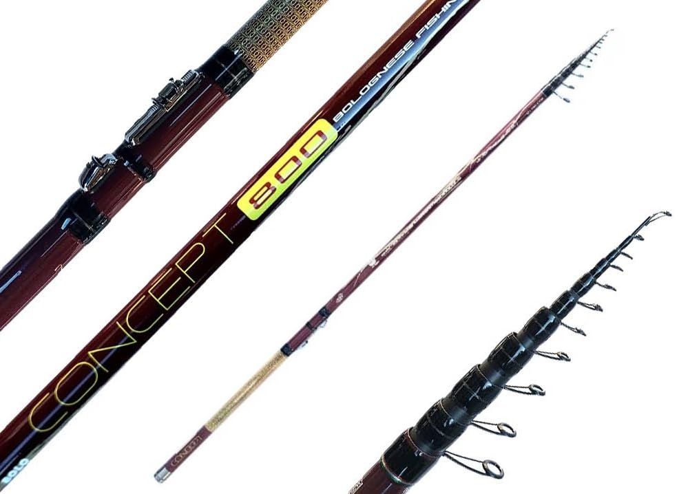 Canna Bolognese 8 Metri Carbonio Alto Modulo Pesca Mare Lago Orata Sarago Concept