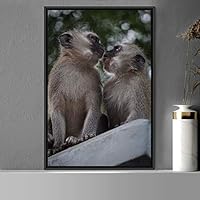 Framed Canvas Wall Art Monkey Animals Expressive Farmhouse/Country Living Room Monkey Multicolor Photography - 16x24 inches