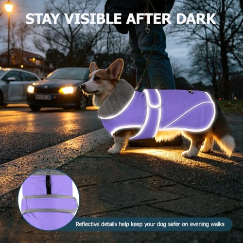 Image of Dogcheer Dog Coat, Waterproof Dog Jacket Reflective Pet Winter Coat with Adjustable Hook & Loop, Christmas Puppy Fleece Jacket Warm Turtleneck Snowsuit for Small Medium Large Dogs - Taro Purple, 2XL