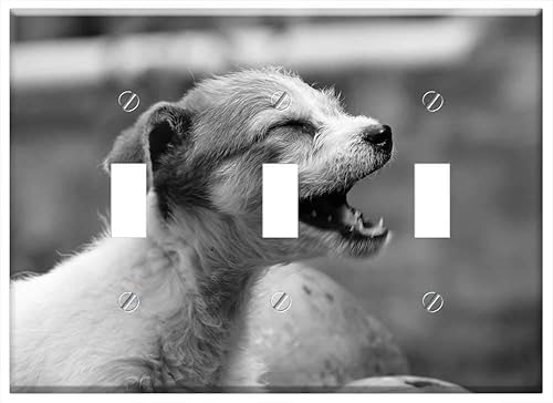 Interruptor Placa Triple Palanca - Mis Perros El Campo Armenia Quindio 1