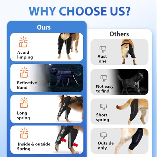 Image of Double Dog Knee Brace for Torn Acl Hind Leg(Extra Small), Double Dog Leg Braces for Back Leg for Support, Acl Brace for Dogs, Built-In Hard Metal Spring Support,Adjustable Strap,Night Reflective Strip