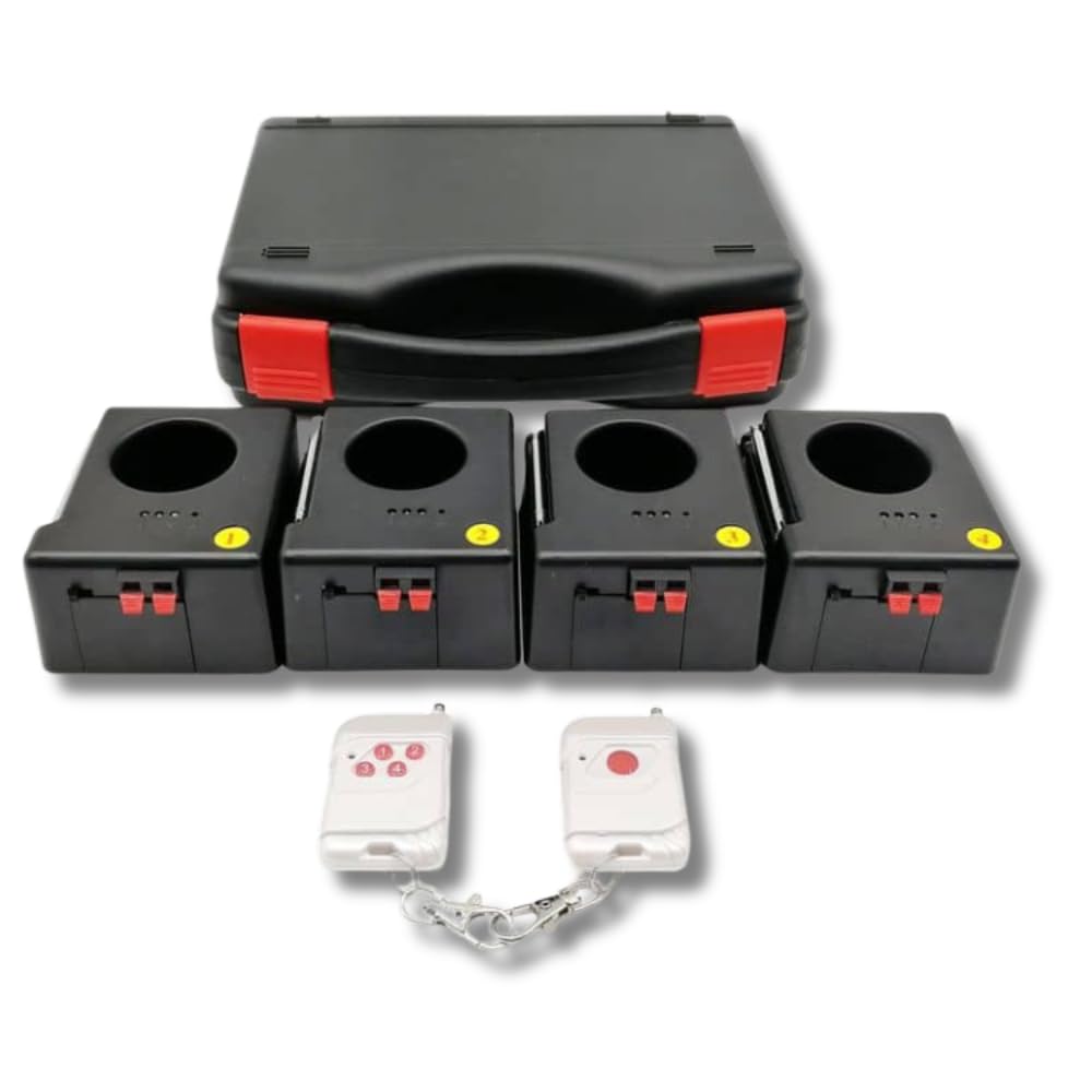Generico Centralina Fuochi d’Artificio Freddi 4 Canali Wireless con Telecomando – Kit Sistema Pirotecnico per Fontane Fredde e Scintille per Matrimoni, Eventi e Feste, con Custodia, Batterie 9V