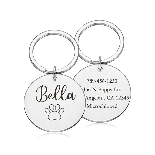Foto 6 de 7 de Médaille Personnalisée Pour Collier De Chien, étiquettes D'identification D'adresse Pour Chiens
