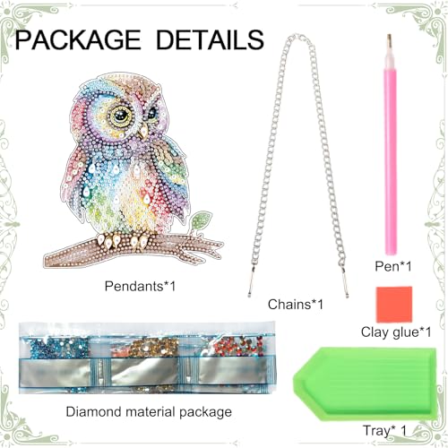 Image of AiYuanzsh Owl Diamond Painting Hanging Pendant Kit, 19 cm, Acrylic, Wall Mount, Mosaic Crafts, Home Decor, Indoor, Unisex