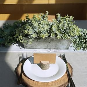Winlyn Faux Eucalyptus Plants in Rustic Galvanized Metal Rectangular Planter Farmhouse Greenery Arrangement Artificial Eucalyptus Potted Plants for Home Office Table Centerpiece Mantel Shelf Décor Winlyn Faux Eucalyptus Plants in Rustic Galvanized Metal Rectangular Planter Farmhouse Greenery Arrangement Artificial Eucalyptus Potted Plants for Home Office Table Centerpiece Mantel Shelf Decor