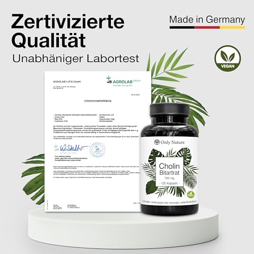 Cholin hochdosiert 700 mg - 120 Leber Kapseln - Natürlich & Wirksam - in Deutschland produziert & Laborgeprüft - Cholin Kapseln hochdosiert - Choline Bitartrate