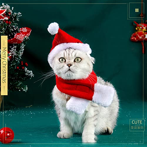 Dog Cat Pet Santa Hat Scarf And Collar Bow Tie Christmas Costume For Puppy Kitten Small Cats Dogs Pets #TOP1