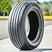 Landspider Citytraxx G/P All-Season Passenger Car Performance Radial Tire-195/50R16 195/50/16 195/50-16 84V Load Range SL 4-Ply BSW Black Side Wall UTQG 560AA