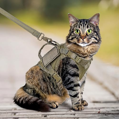 Arnés para gato antitirones con mango de control para evitar escapes en exterior 5