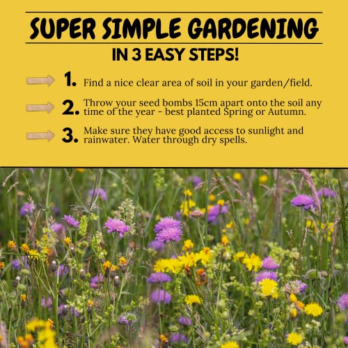 Handmade Wildflower Seed Bombs for Bees & Butterflies - 26 UK Species - Image 5