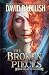 The Broken Pieces (The Paladins)