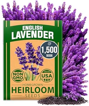 The Secret to Thriving Indoor Plants: Top Seeds for Spring 3 best indoor plant seeds for spring