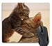 cat Kitten Muzzle Ears Cute Rectangle Mouse Pad