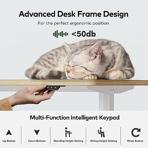 Image of FEZIBO Height Adjustable Electric Standing Desk, 63 x 24 Inches Stand up Table, Sit Stand Home Office Desk with Splice Board, LightRusticbrown