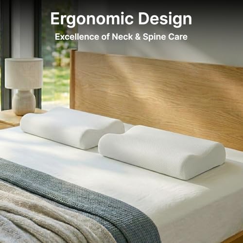 Image of pTron Ergova O2 100% Memory Foam Cervical Neck Pillow, Improves Posture, Spinal Alignment, Neck Pain Relief Cushion, Queen Size 19x11x3.5 inch, Breathable & Washable Zip Cover (White)
