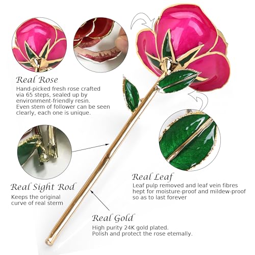 Image of Sinvitron Gold Dipped Infinity Rose Forever Flower Decor, Resin Preserved Real Rose Birthday Gift for Women, Anniversary Present for Mom (Rose Red)