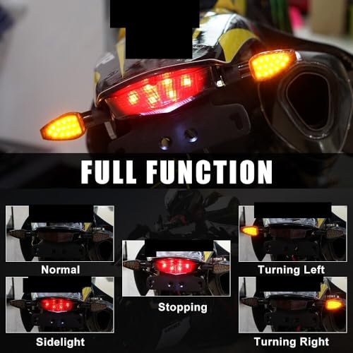 Feu stop arrière DRZ400S clignotants LED et support plaque