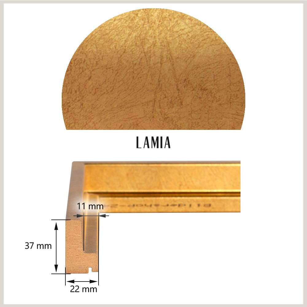 Bildershop-24 Cornice per giunti ombreggiati Lamia, 100 x 120 cm, foglio d'oro, Kit di autoassemblaggio fai da te