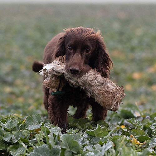 ROMNEYS Kaninchendummy | Standard-Dummy 500g mit echtem Kaninchenfell überzogen | Wild-Apportel für die jagdliche Hundeausbildung