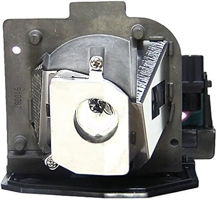 BL-FS180C Lampada 180W  OEM  per Proiettore Optoma THEME-S HD65 HD700X  Trasparente