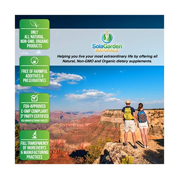 Whole Food Biotin Supplement - Contains Certified Organic Plant Based Biotin from Sesbania Agati Trees - by SolaGarden Naturals. May Support Hair, Skin and Nails. 60 Non GMO Veggie Capsules.