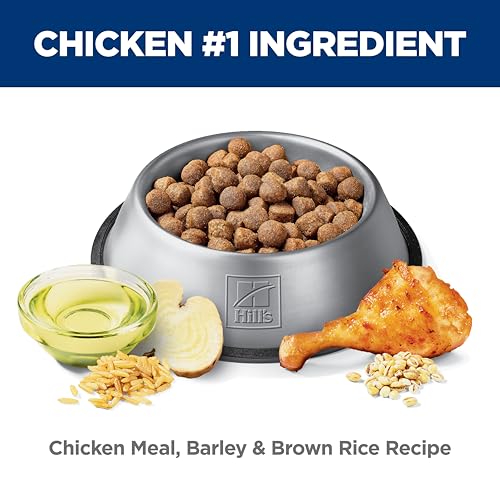 Hill's Science Diet Adult Healthy Mobility Large Breed Chicken Meal, Brown Rice & Barley Recipe Dry Dog Food 13.6 kg Bag image 4