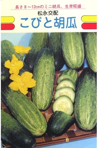 Amazon きゅうり 種 こびと胡瓜 種子 小袋 約25粒 野菜