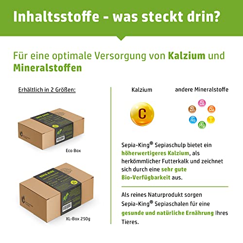 Sepia King Sepiaschalen Premium - Hochwertige Kalzium u. Vitaminversorgung, Nahrung, Futter für Reptilien, Schildkröten, Bartagamen, Vögel - Sepia Schalen Terrarium Zubehör - 12 Stück