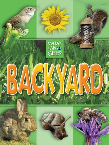 Backyard (What Can I See?): TickTock Books Ltd: 9781848983748: Amazon ...