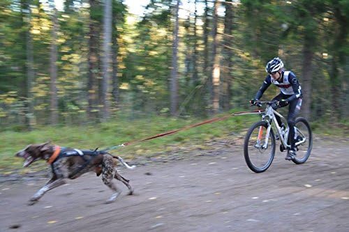 Non-stop dogwear Bike Antenna Dog Bike Attachment, Hands Free Bicycle Dog Exerciser for Safety, Bikejoring Equipment.