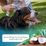 napfpower Fellpflege Hund mit Kokosduft (250 ml) – Entfilzungsspray & Fellglanzspray für einfache Kämmbarkeit – Fellspray für EIN staubfreies Hundefell - Entwirrt verknotetes Fell & pflegt sanft