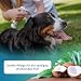 napfpower Fellpflege Hund mit Kokosduft (250 ml) – Entfilzungsspray & Fellglanzspray für einfache Kämmbarkeit – Fellspray für EIN staubfreies Hundefell - Entwirrt verknotetes Fell & pflegt sanft