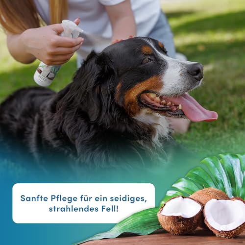 napfpower Fellpflege Hund mit Kokosduft (250 ml) – Entfilzungsspray & Fellglanzspray für einfache Kämmbarkeit – Fellspray für EIN staubfreies Hundefell - Entwirrt verknotetes Fell & pflegt sanft