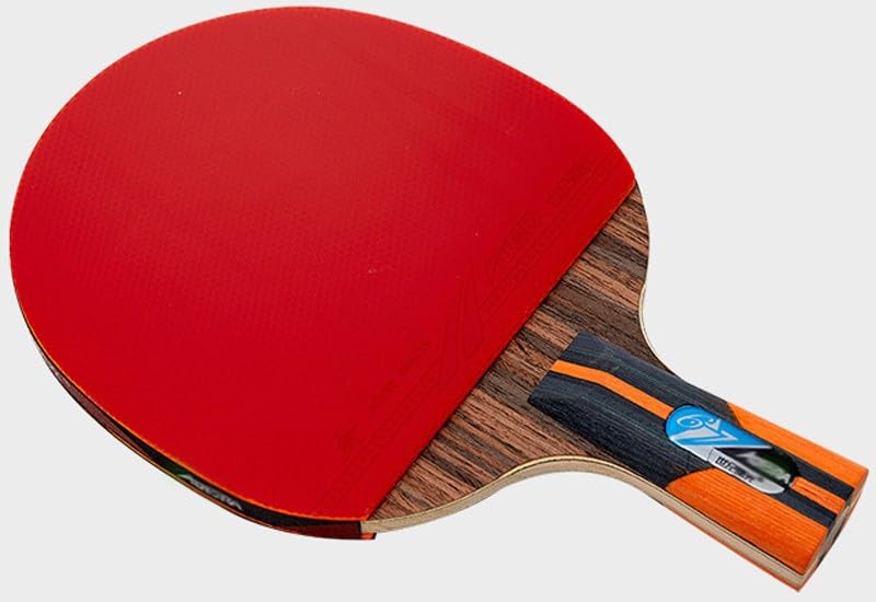 Racchetta da ping pong con custodia per il trasporto, racchetta da ping pong con impugnatura a penna, racchetta da ping pong cinese con manico corto per principianti e giocatori professionisti