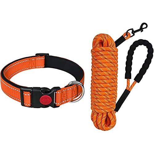 Taglory 16”-24” Dog Collar Bundle with 50FT Tie Out Rope Leash, Reflective Padded Dog Collar with Nylon Dog Leash for Dogs, Orange