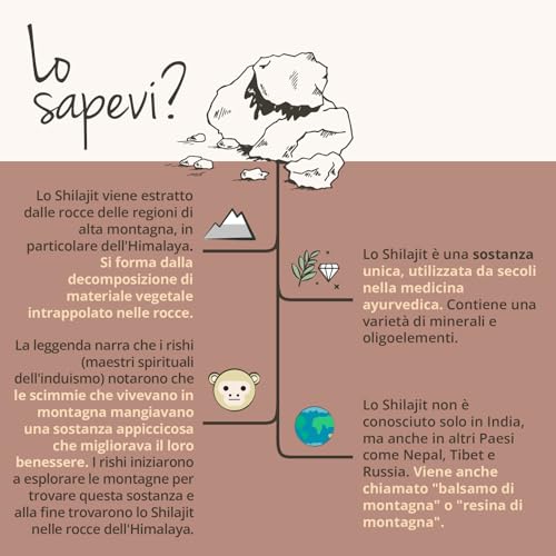 SHILAJIT MUMIJO Vegavero® | 1.300 mg | con 60% Acidi Fulvici e 12% Acidi Umici | Mumio con più di 85 oligoelementi | Medicina Ayurveda e Tibetana | 90 capsule | Vegan - 7
