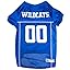 Kentucky Wildcats