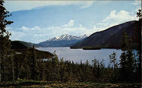 Muncho Lake British Columbia BC Canada Original Vintage Postcard